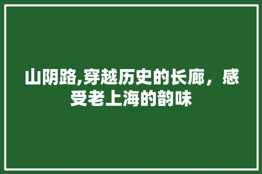 山阴路,穿越历史的长廊，感受老上海的韵味