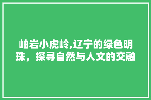 岫岩小虎岭,辽宁的绿色明珠，探寻自然与人文的交融