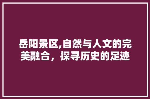 岳阳景区,自然与人文的完美融合，探寻历史的足迹  第1张