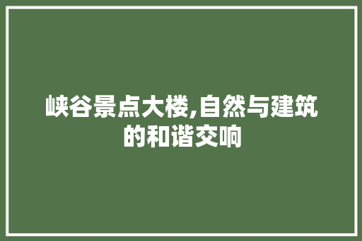 峡谷景点大楼,自然与建筑的和谐交响  第1张