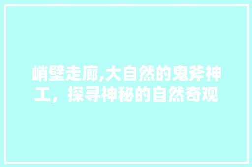 峭壁走廊,大自然的鬼斧神工，探寻神秘的自然奇观