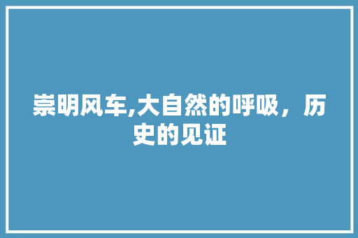 崇明风车,大自然的呼吸，历史的见证