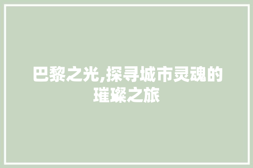 巴黎之光,探寻城市灵魂的璀璨之旅  第1张
