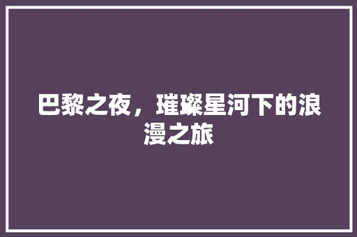 巴黎之夜，璀璨星河下的浪漫之旅  第1张
