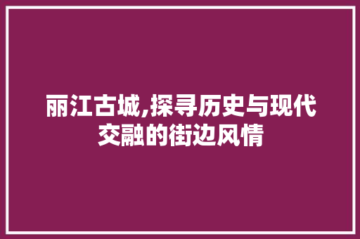丽江古城,探寻历史与现代交融的街边风情  第1张