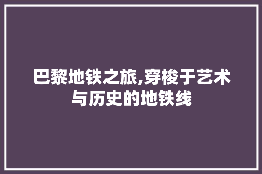 巴黎地铁之旅,穿梭于艺术与历史的地铁线