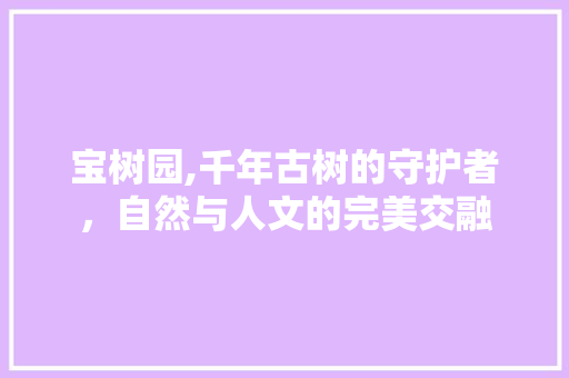 宝树园,千年古树的守护者，自然与人文的完美交融