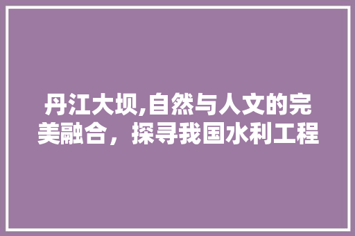 丹江大坝,自然与人文的完美融合，探寻我国水利工程的奇迹  第1张