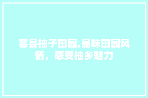 容县柚子田园,品味田园风情，感受柚乡魅力