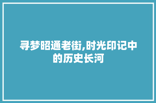 寻梦昭通老街,时光印记中的历史长河