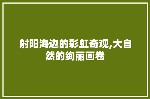 射阳海边的彩虹奇观,大自然的绚丽画卷