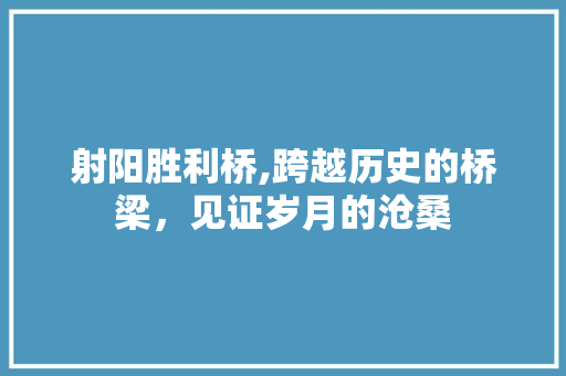 射阳胜利桥,跨越历史的桥梁，见证岁月的沧桑