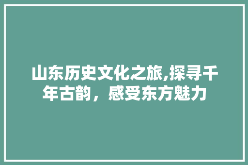 山东历史文化之旅,探寻千年古韵，感受东方魅力