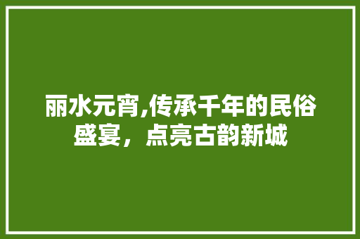 丽水元宵,传承千年的民俗盛宴，点亮古韵新城  第1张