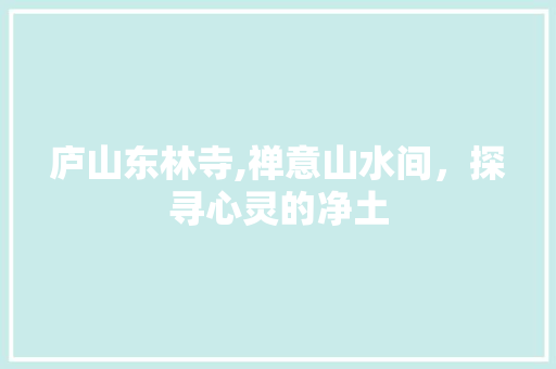 庐山东林寺,禅意山水间，探寻心灵的净土  第1张