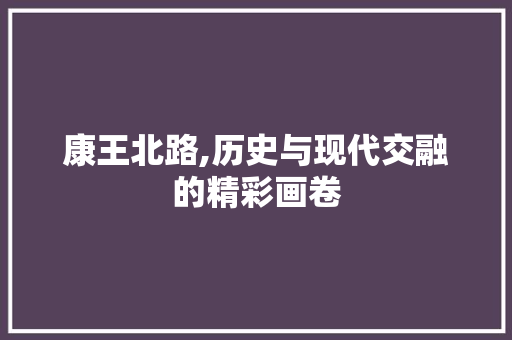 康王北路,历史与现代交融的精彩画卷
