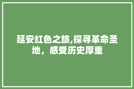 延安红色之旅,探寻革命圣地，感受历史厚重