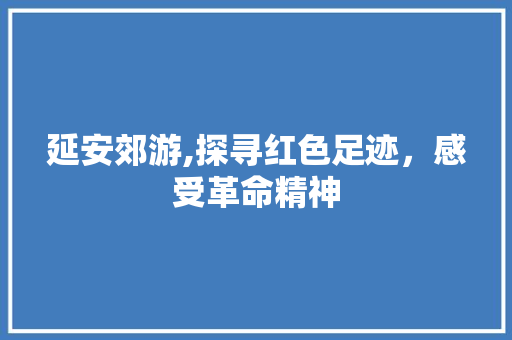 延安郊游,探寻红色足迹，感受革命精神