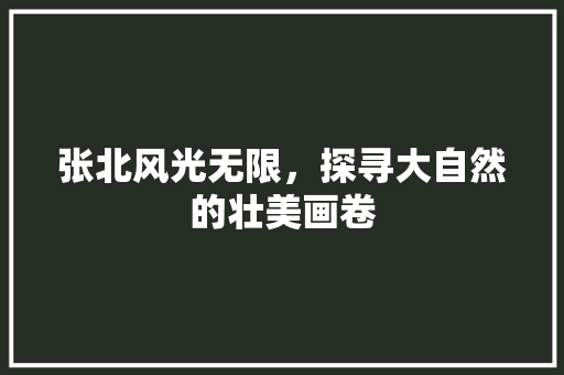 张北风光无限，探寻大自然的壮美画卷