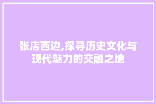 张店西边,探寻历史文化与现代魅力的交融之地