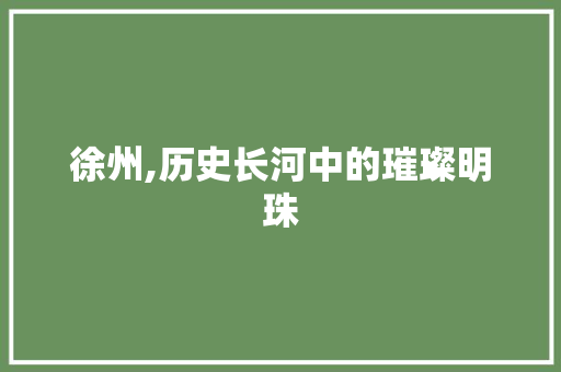 徐州,历史长河中的璀璨明珠