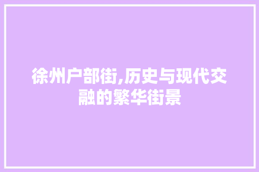 徐州户部街,历史与现代交融的繁华街景