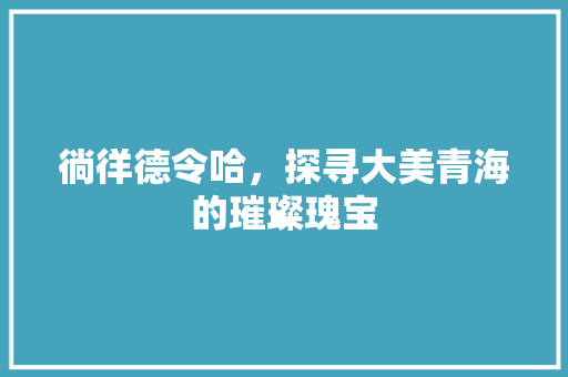 徜徉德令哈，探寻大美青海的璀璨瑰宝