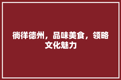徜徉德州，品味美食，领略文化魅力