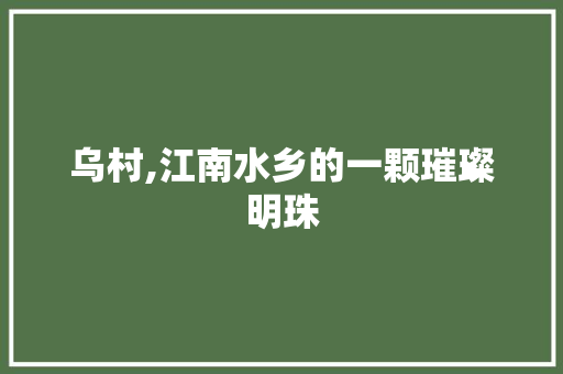 乌村,江南水乡的一颗璀璨明珠  第1张
