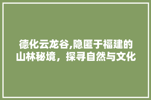 德化云龙谷,隐匿于福建的山林秘境，探寻自然与文化的交融之美