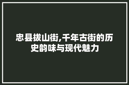 忠县拔山街,千年古街的历史韵味与现代魅力