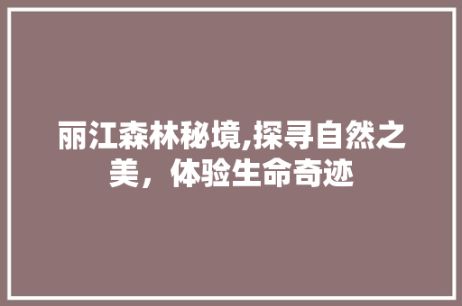丽江森林秘境,探寻自然之美，体验生命奇迹  第1张