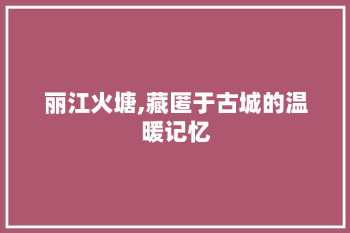 丽江火塘,藏匿于古城的温暖记忆  第1张