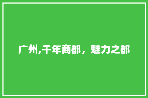 广州,千年商都，魅力之都  第1张