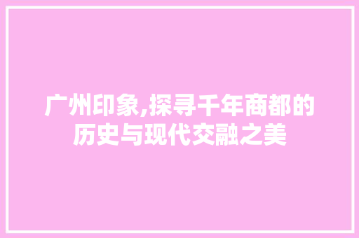 广州印象,探寻千年商都的历史与现代交融之美