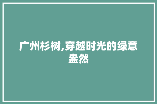 广州杉树,穿越时光的绿意盎然