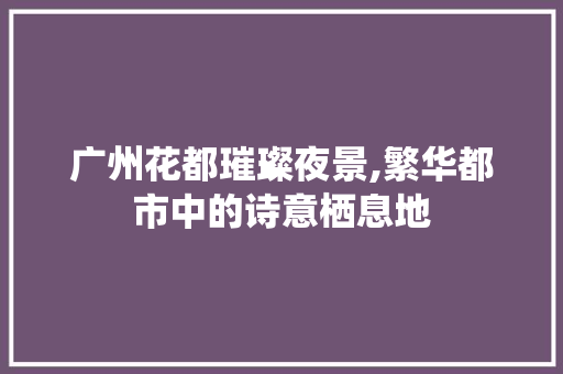 广州花都璀璨夜景,繁华都市中的诗意栖息地