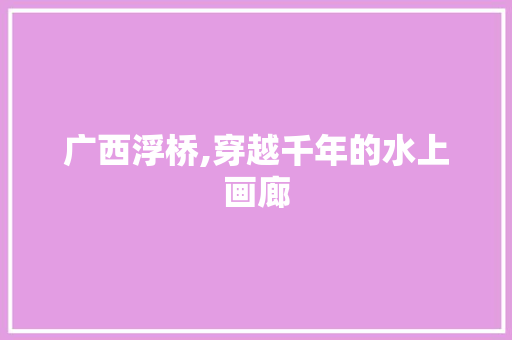 广西浮桥,穿越千年的水上画廊