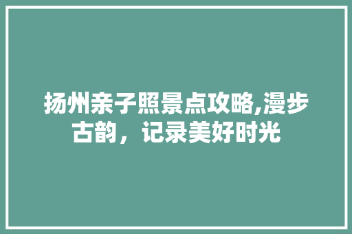 扬州亲子照景点攻略,漫步古韵，记录美好时光