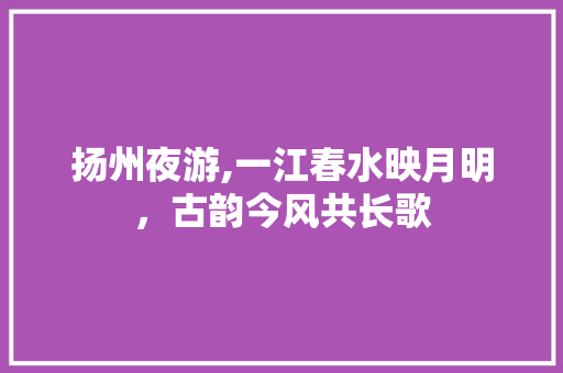 扬州夜游,一江春水映月明，古韵今风共长歌