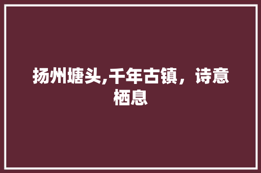 扬州塘头,千年古镇，诗意栖息