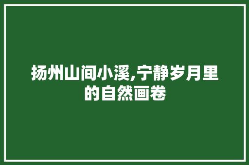 扬州山间小溪,宁静岁月里的自然画卷