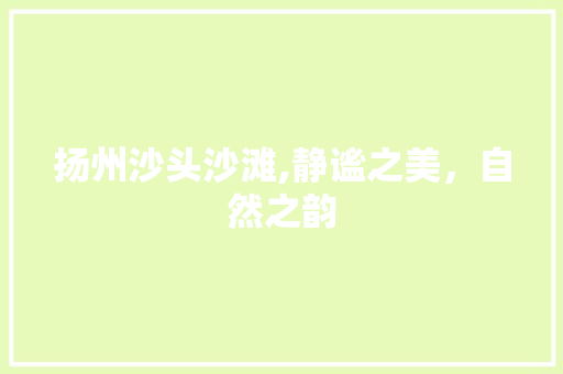扬州沙头沙滩,静谧之美，自然之韵