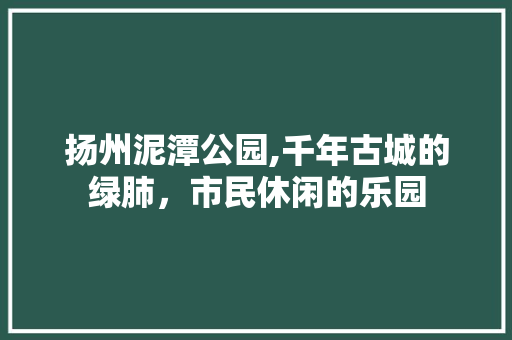 扬州泥潭公园,千年古城的绿肺，市民休闲的乐园  第1张