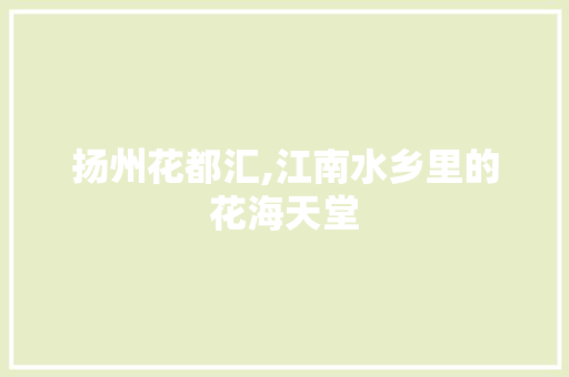 扬州花都汇,江南水乡里的花海天堂