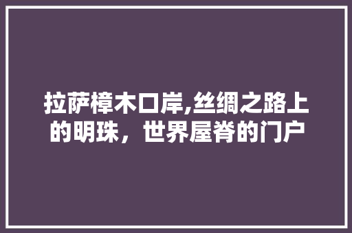 拉萨樟木口岸,丝绸之路上的明珠，世界屋脊的门户