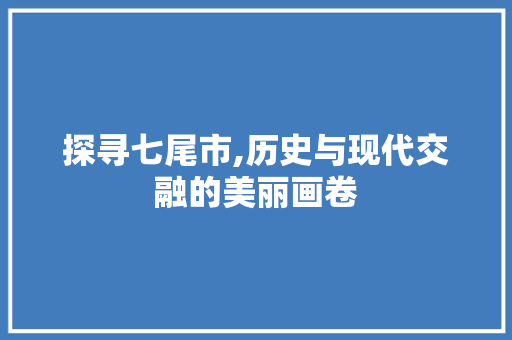 探寻七尾市,历史与现代交融的美丽画卷