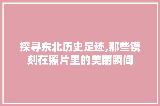 探寻东北历史足迹,那些镌刻在照片里的美丽瞬间
