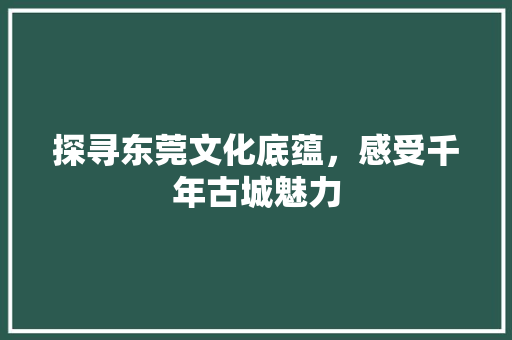 探寻东莞文化底蕴，感受千年古城魅力