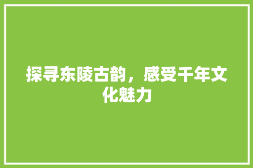 探寻东陵古韵，感受千年文化魅力